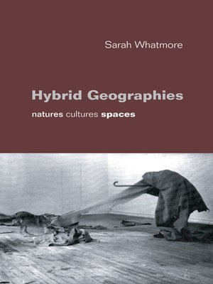 cover image of Hybrid Geographies